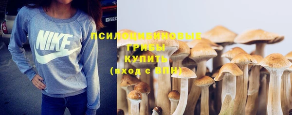 ALPHA PVP Гусев