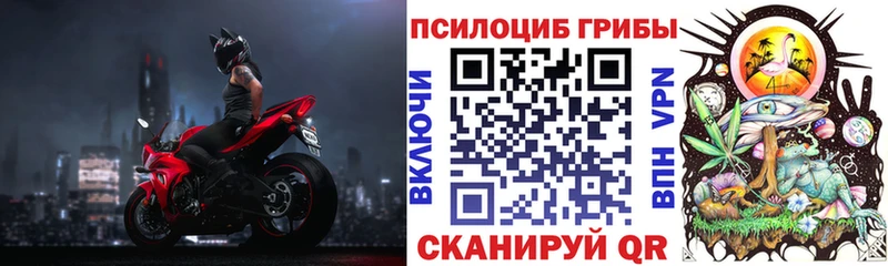 Галлюциногенные грибы Magic Shrooms  Купить где  Кондопога 